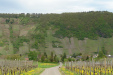 Pad Wolfer Berg-Kloster – bijna terug (april 2012)