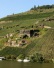 Burgruine Rosenburg - vanaf de Mosel (sept 2024)