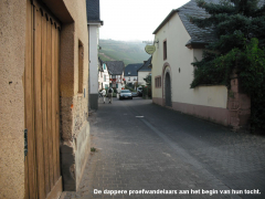 proefwandelaars (2009)