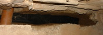 worteldoek (jun 2026)
