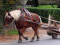 lamoen in actie