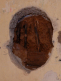 leemconstructie (aug 2015)