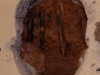 leemconstructie (aug 2015)