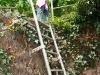 Kletterweg 2011 na 2 min: de eerste ladder