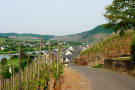 wandeling Bernkastel - heuvel af in Kinheim  (mei 2015)