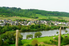 wandeling Bernkastel - bos op heuvel (mei 2015)