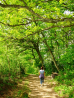 wandeling Bernkastel - bosweg (mei 2015)