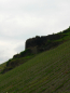 wandeling Bernkastel - ruïne Rosenburg (mei 2015)