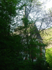 Leiermannspfad - kerk Enkirch (mei 2015)