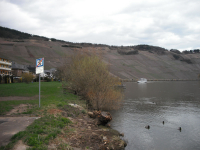 Mont Royal in het vroege voorjaar (2010)