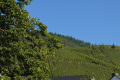 uitzicht (sept 2019)