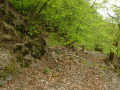 Pad Wolfer Berg-Kloster – geen pad (april 2012)
