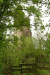 Pad Wolfer Berg-Kloster – de ruïne in zicht (april 2012)