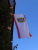 de vlag kan weer uit (juli 2022)