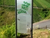 Sortengarten Zeltingen - infobord (aug 2012)