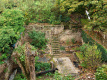 geknotte vlier en opgeruimdere tuin (okt 2019)