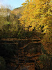 herfsttuin (nov 2019)