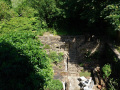 gesnoeide tuin (juni 2021)