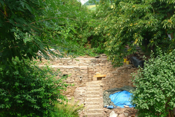 jungle bouwsel (aug 2014)