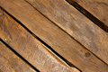 mooi hout (juni 2019)