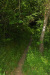 wandeling Kröv - door het bos (mei 2023)