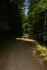 wandeling Kröv - heuvelweg (mei 2023)