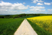 Wandeling Liebenstein - later doodlopend (mei 2023)