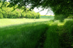 Wandeling Liebenstein - einde weg (mei 2023)