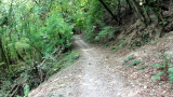 Wandeling Kövenig - wazig pad (sept 2020)