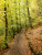 Eltz Karden na 17 min - dieper het bos in (okt 2012)