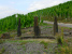 Wandeling Trarbach - Bernkastel - mini Stonehenge (sept 2013)