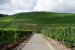 Weinlehrpfad - Aan de voet van de wijnbergen (aug 2011)