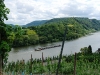 Weinlehrpfad - Uitzicht op de Mosel (aug 2011)