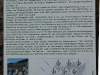 Weinlehrpfad - Infobord betekenis van Schiefer voor de Moselwein (aug 2011)