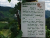 Weinlehrpfad - Infobord Riesling (aug 2011)