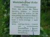Weinlehrpfad - Infobord Ebling (aug 2011)