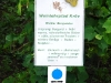 Weinlehrpfad - Infobord Weisser Burgunder (aug 2011)