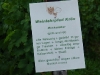 Weinlehrpfad - Infobord Muskateller (aug 2011)