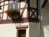 Zeltingen-Rachtig - 1657 (aug 2012)