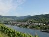 Zeltingen-Rachtig - Wehlen (aug 2012)
